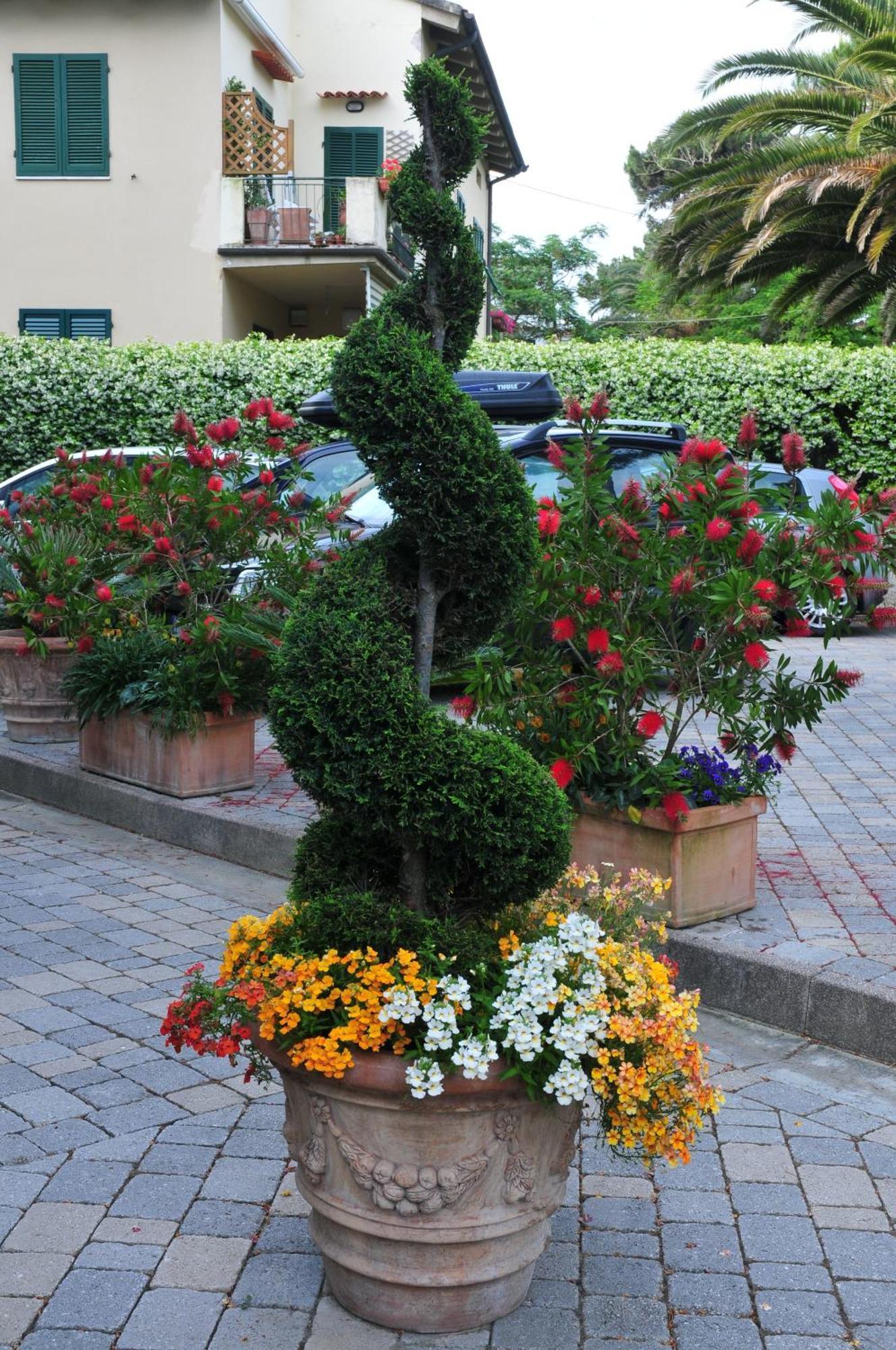 Hotel Riviera Blu Tirrenia Exterior foto